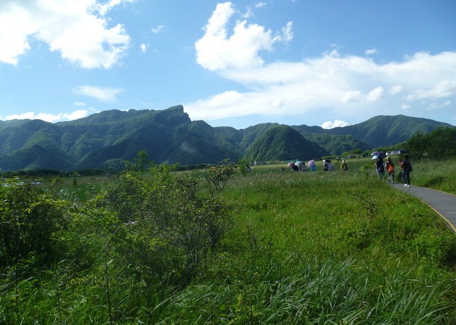 带你欣赏大九湖的美景,大九湖之旅