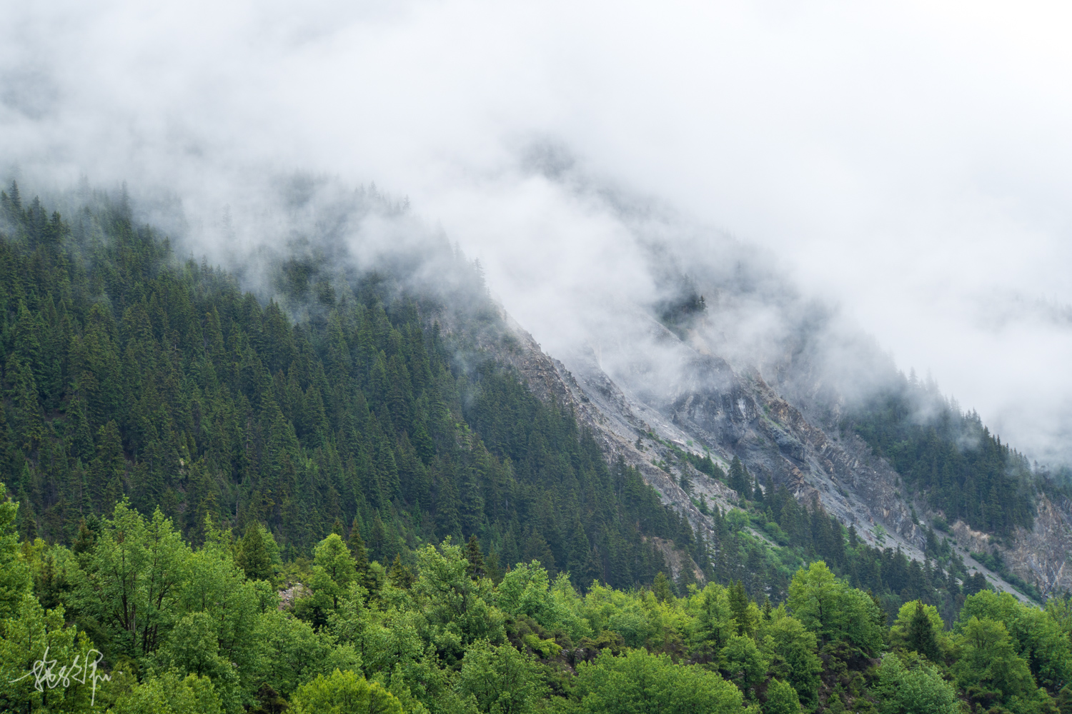 我的2022年度报告,我的2022原版