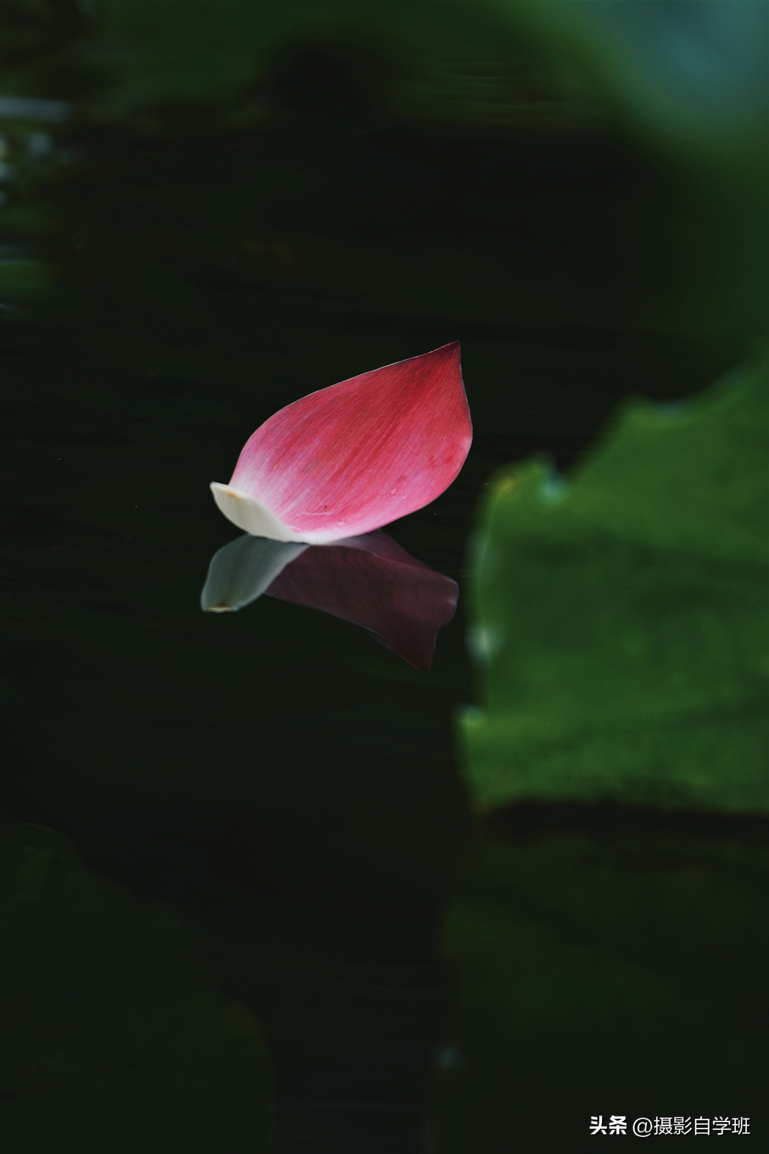 摄友投稿图片,摄友投稿旅行记录图