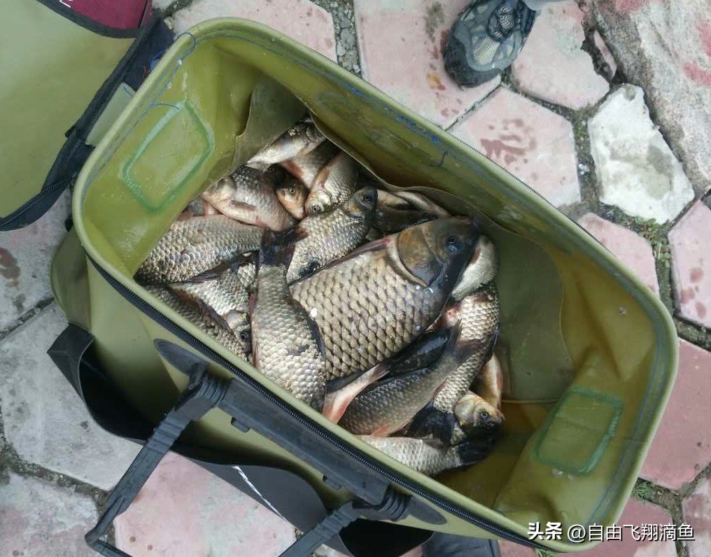 野钓爆护秘诀全揭秘,坠底跑铅钓法