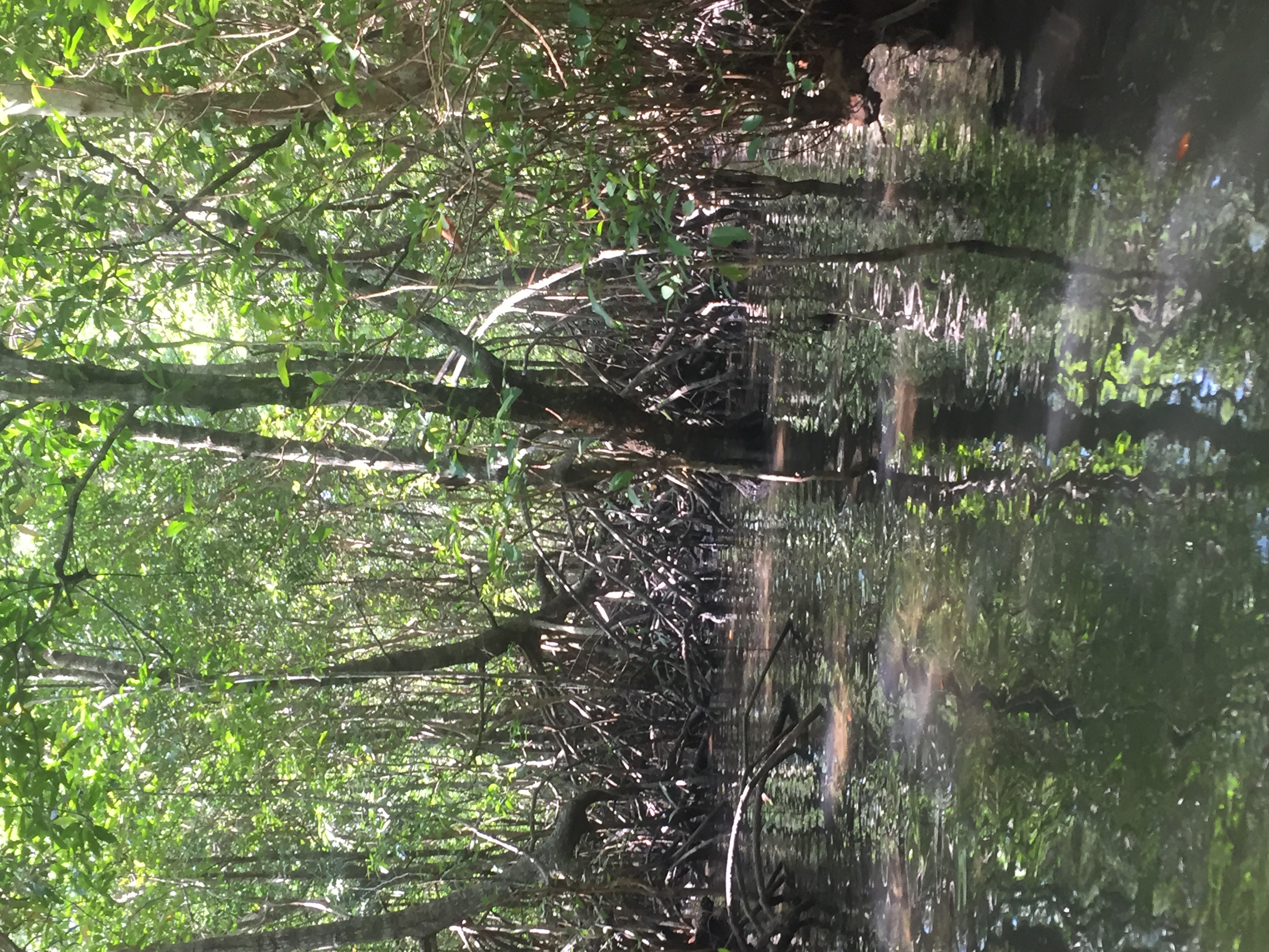 解封了去哪玩?素人推荐