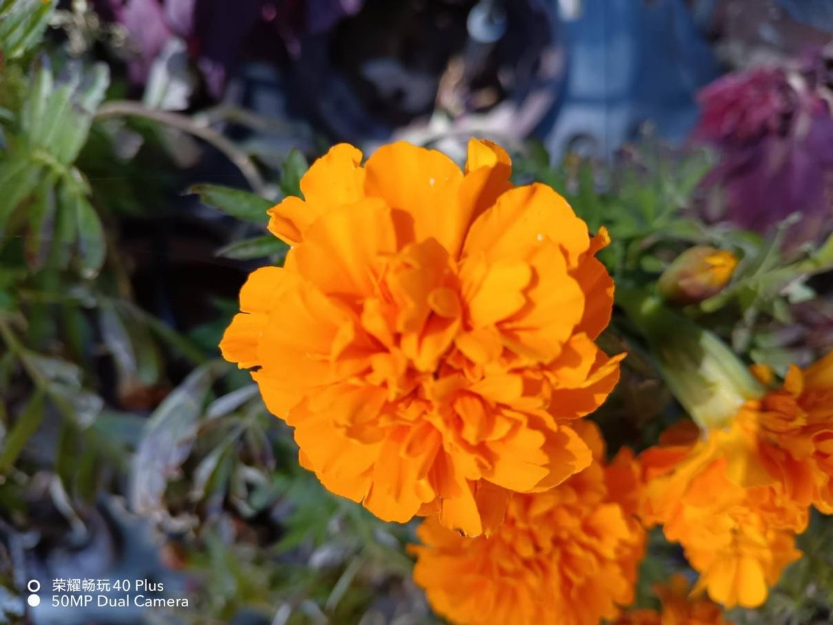 这才是真香5g中端机,这才是荣耀真香千元机