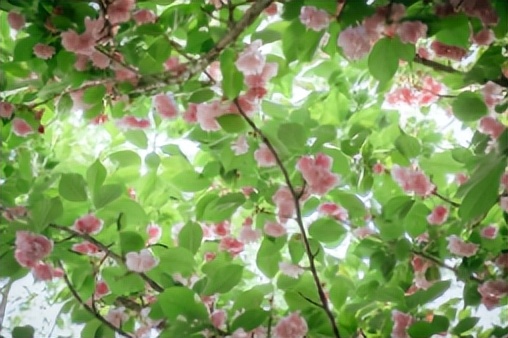 拥有摇篮美誉，人民日报等频频聚焦！西北大学宝藏学院火了