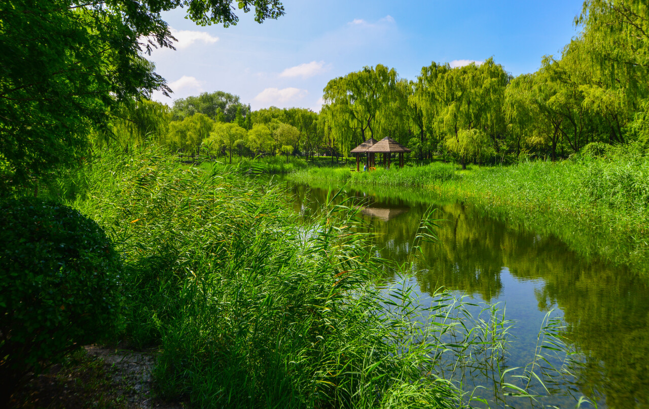 济南体验泉城天然氧吧,济南天然氧免费景点
