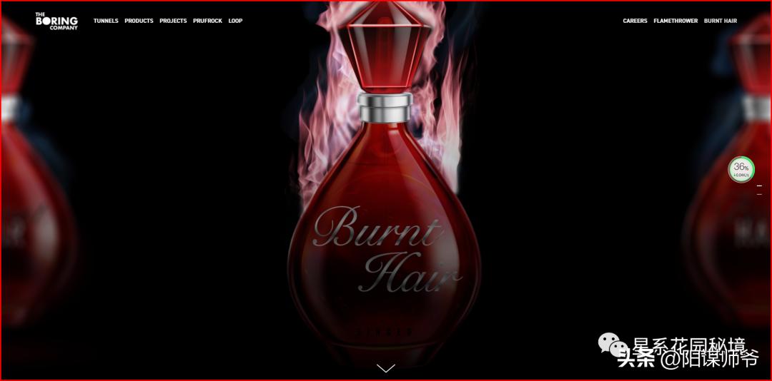 马斯克没有钱之前做什么,马斯克再次带货