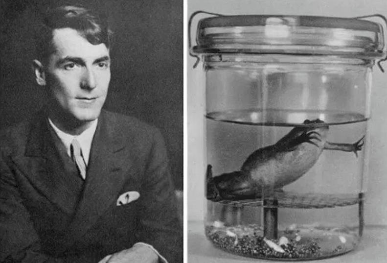 古人啪啪啪后，怎么知道中没中？