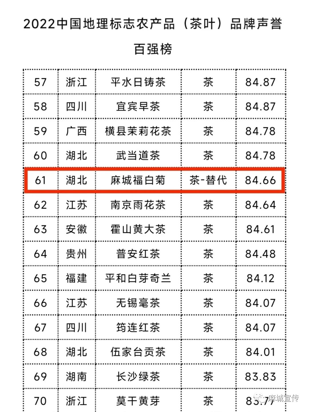湖北麻城福白菊在哪里买,麻城福白菊产品及介绍