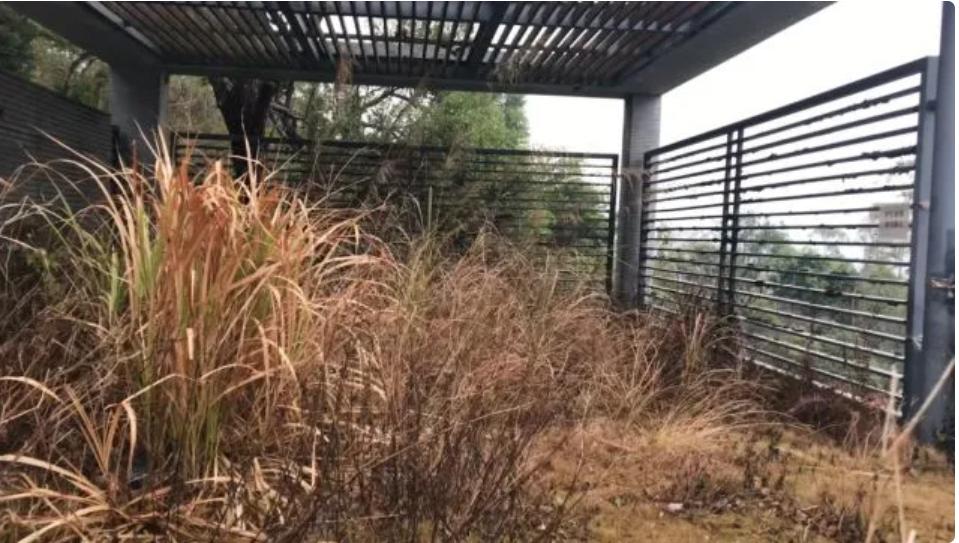 楼市新房开盘售罄二手房无人问津,二手房降价最惨的地块