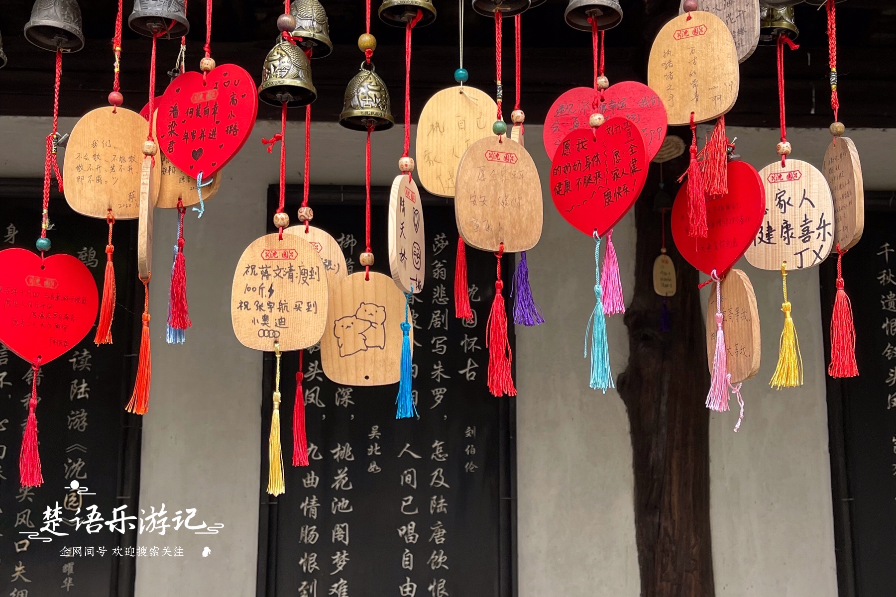 绍兴赏花一日游最佳去处,绍兴赏荷景区