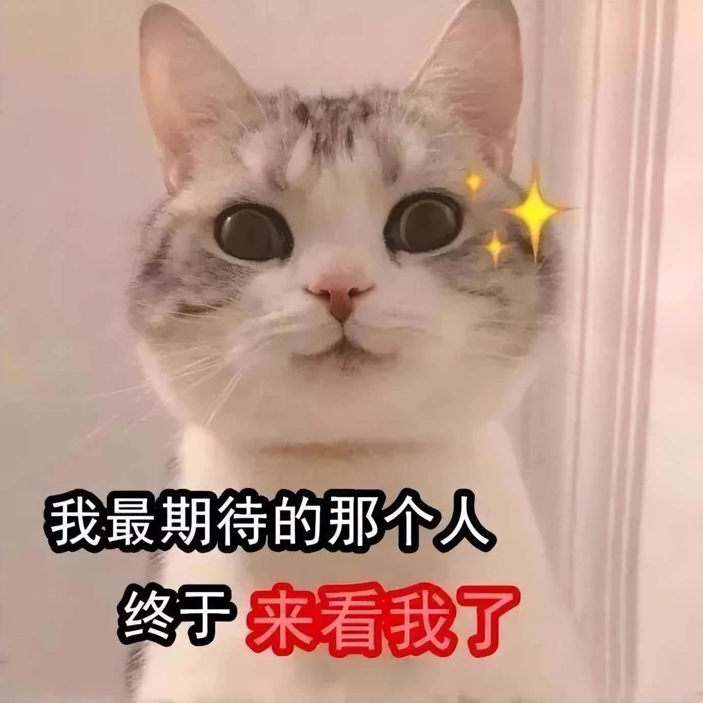 妇女维权免费咨询电话,消费者维权电话有用吗