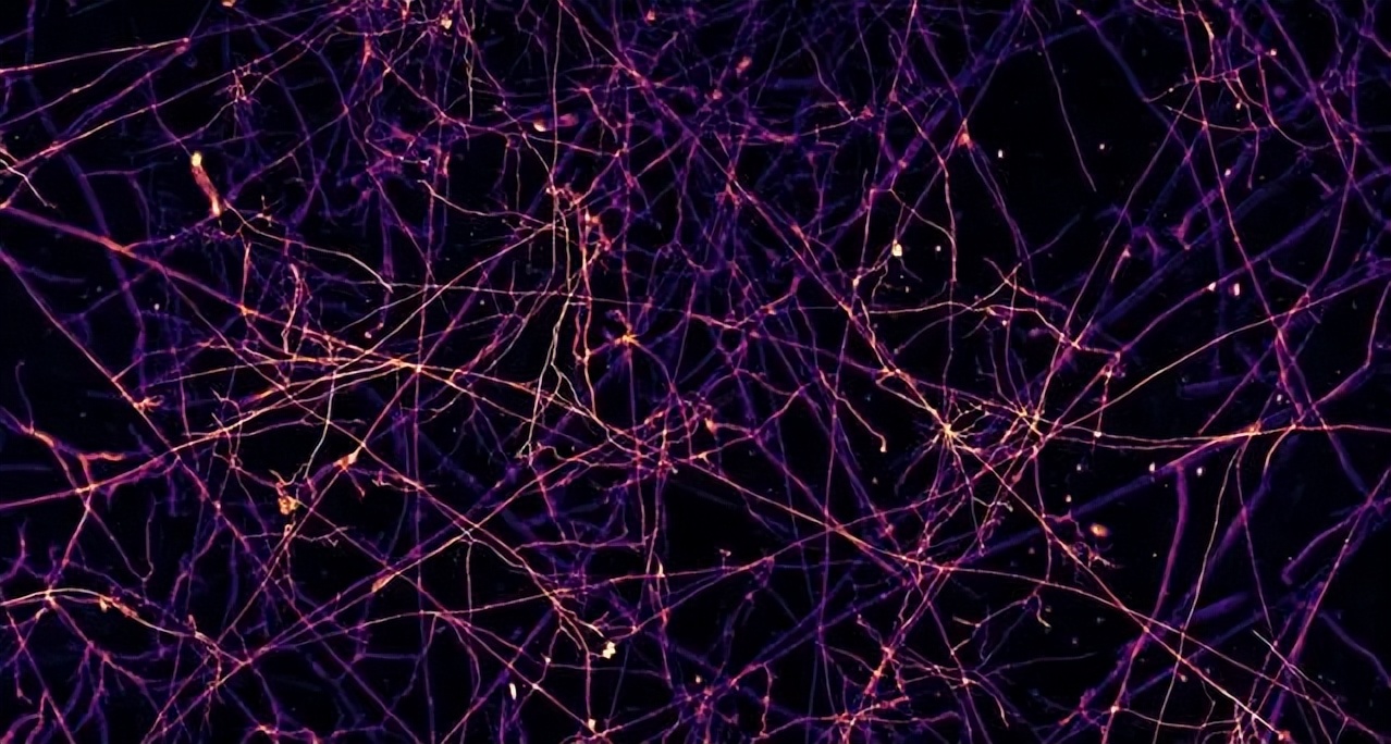 不用花钱就能买到小型电脑,如何买到适合自己的电脑