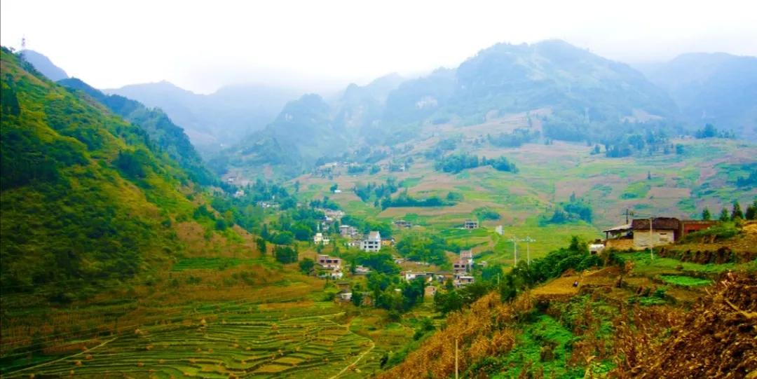 中药材种植基地选址要求,中药材种植基地申请条件及流程