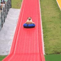 广州鹤之洲湿地公园游玩攻略简介,增城凤凰古城一日游最佳去处