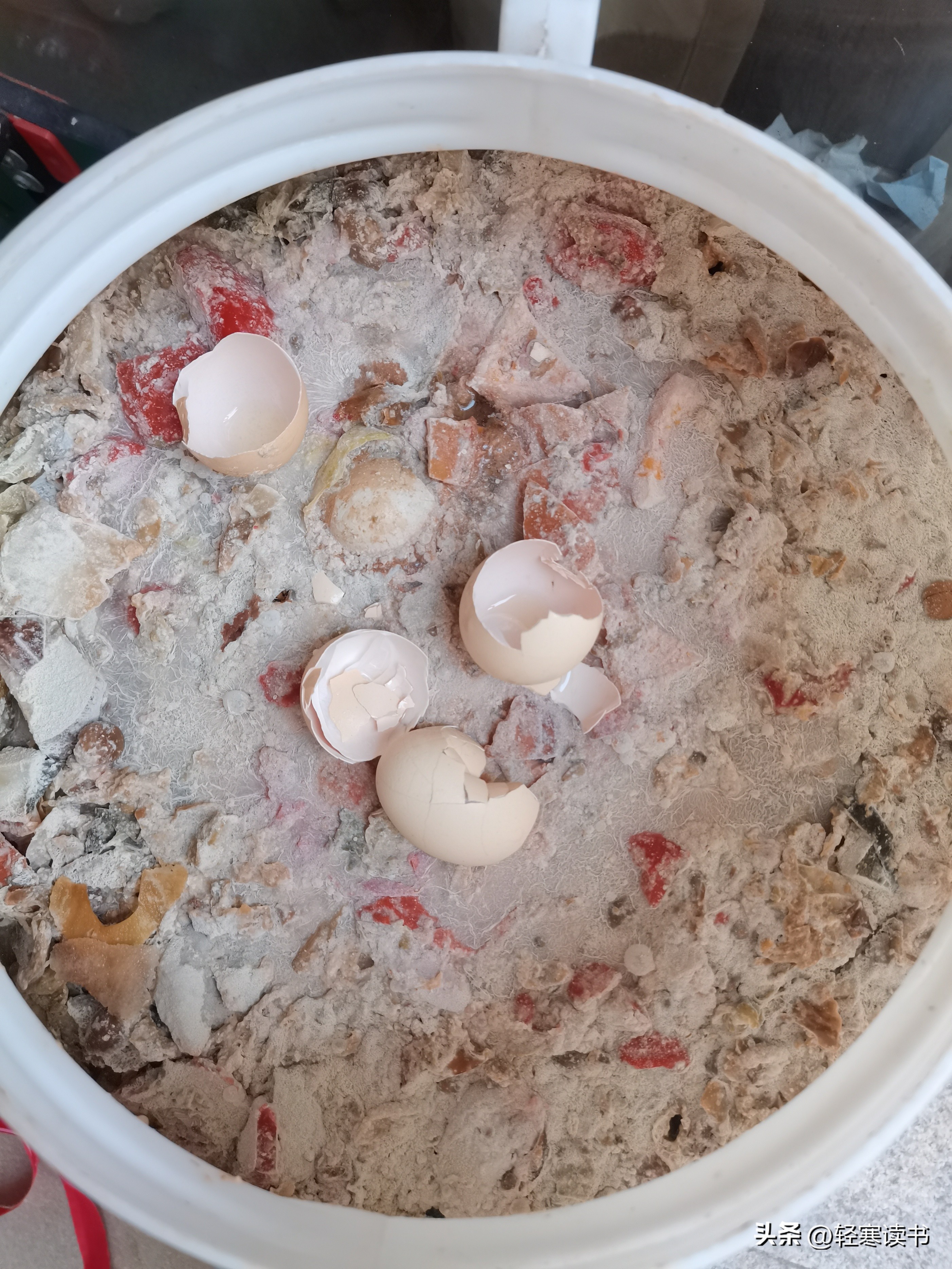 腰椎横突骨折多久可以下床大小便,腰椎骨折需休息多少天