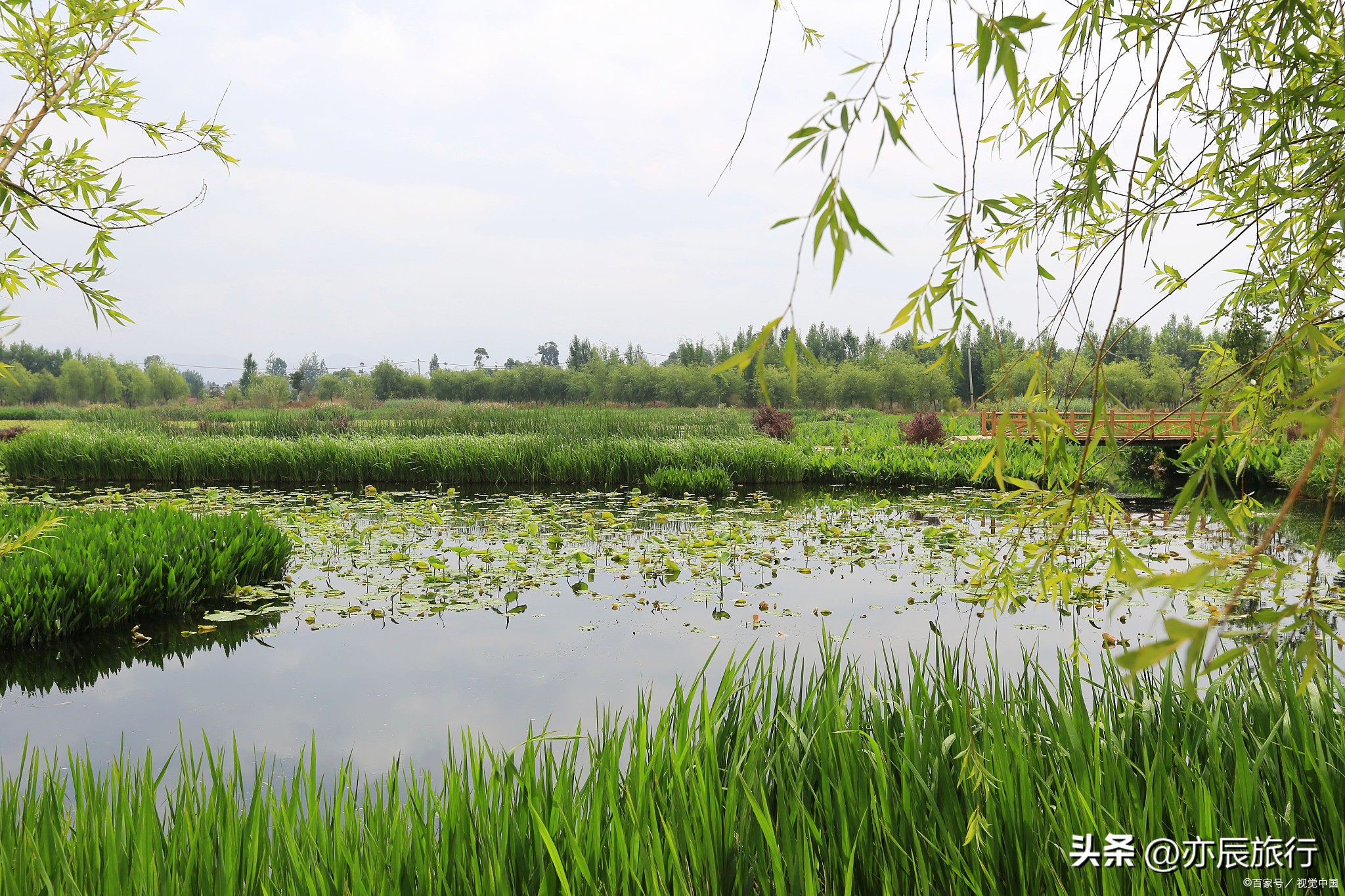 潍坊夏季避暑休闲山庄,潍坊周边避暑自驾游