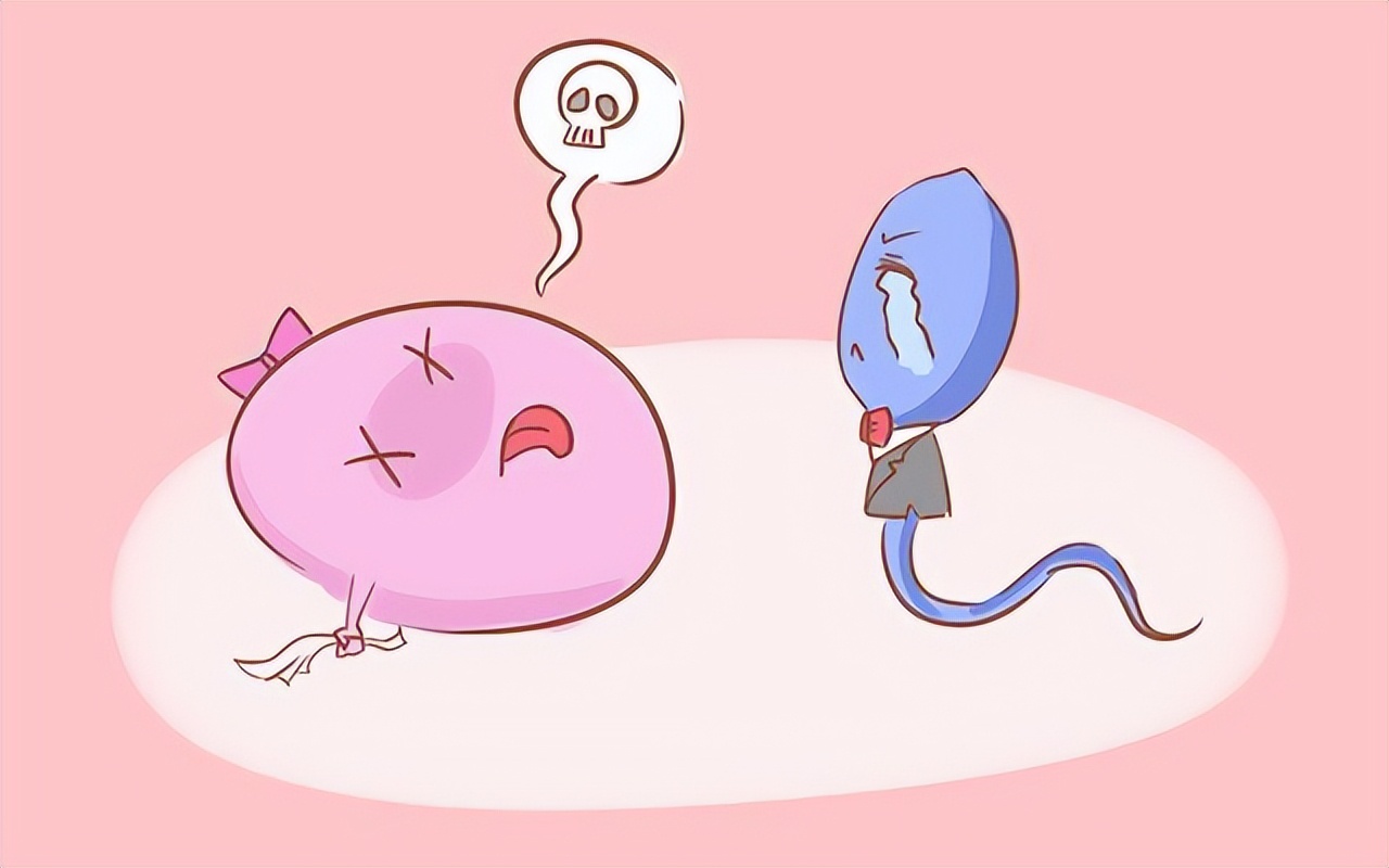 夫妻借了20万做试管婴儿,黑龙江夫妇借22万做试管