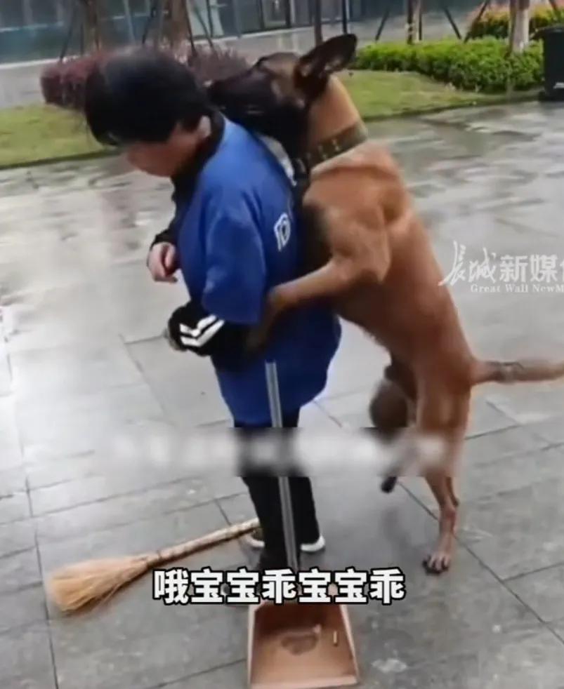 这哪里是大狗想找吃的或者想和人玩？这明明就是大狗发情了！