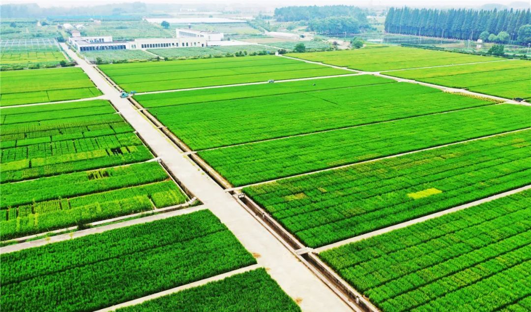 2023年农村创业趋势,农村创业新趋势