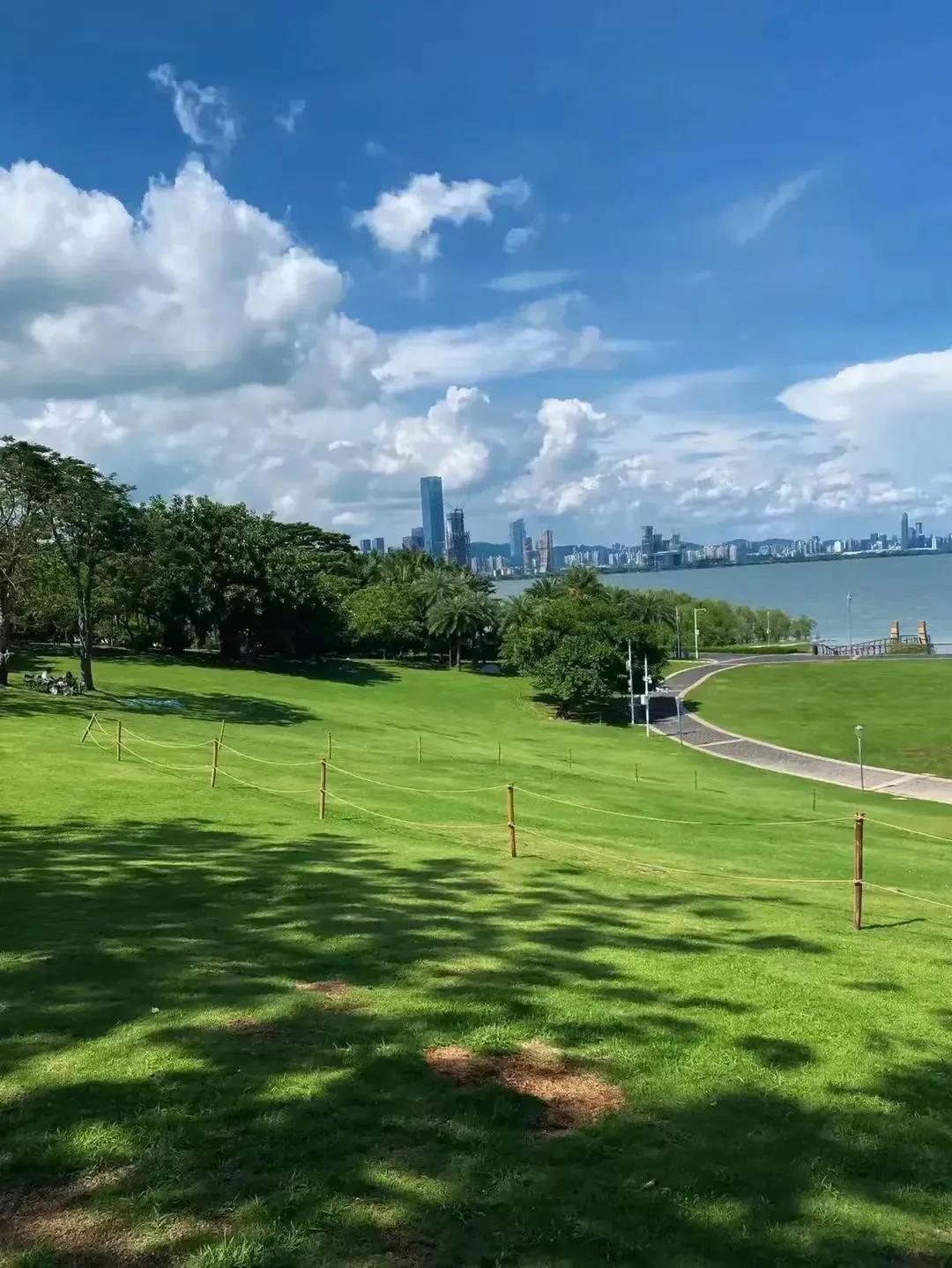 家庭情感背后真相,让你看清感情背后的真相