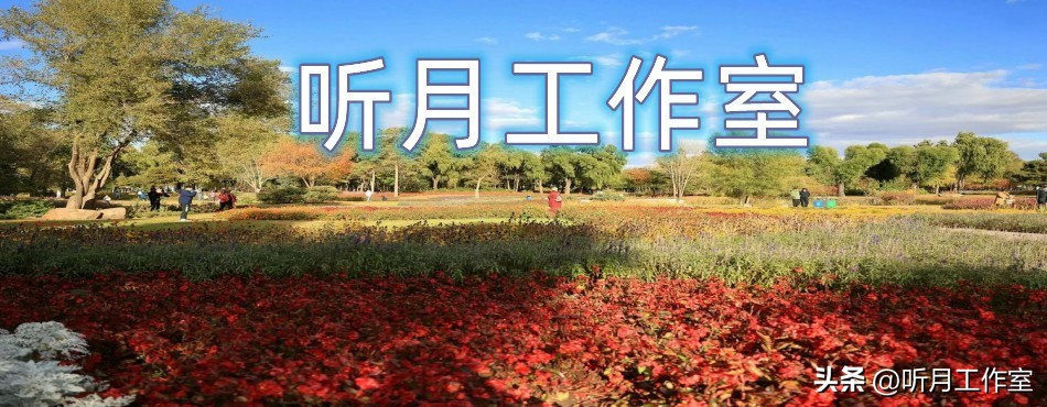 王岩书法家,书法家王岩作品