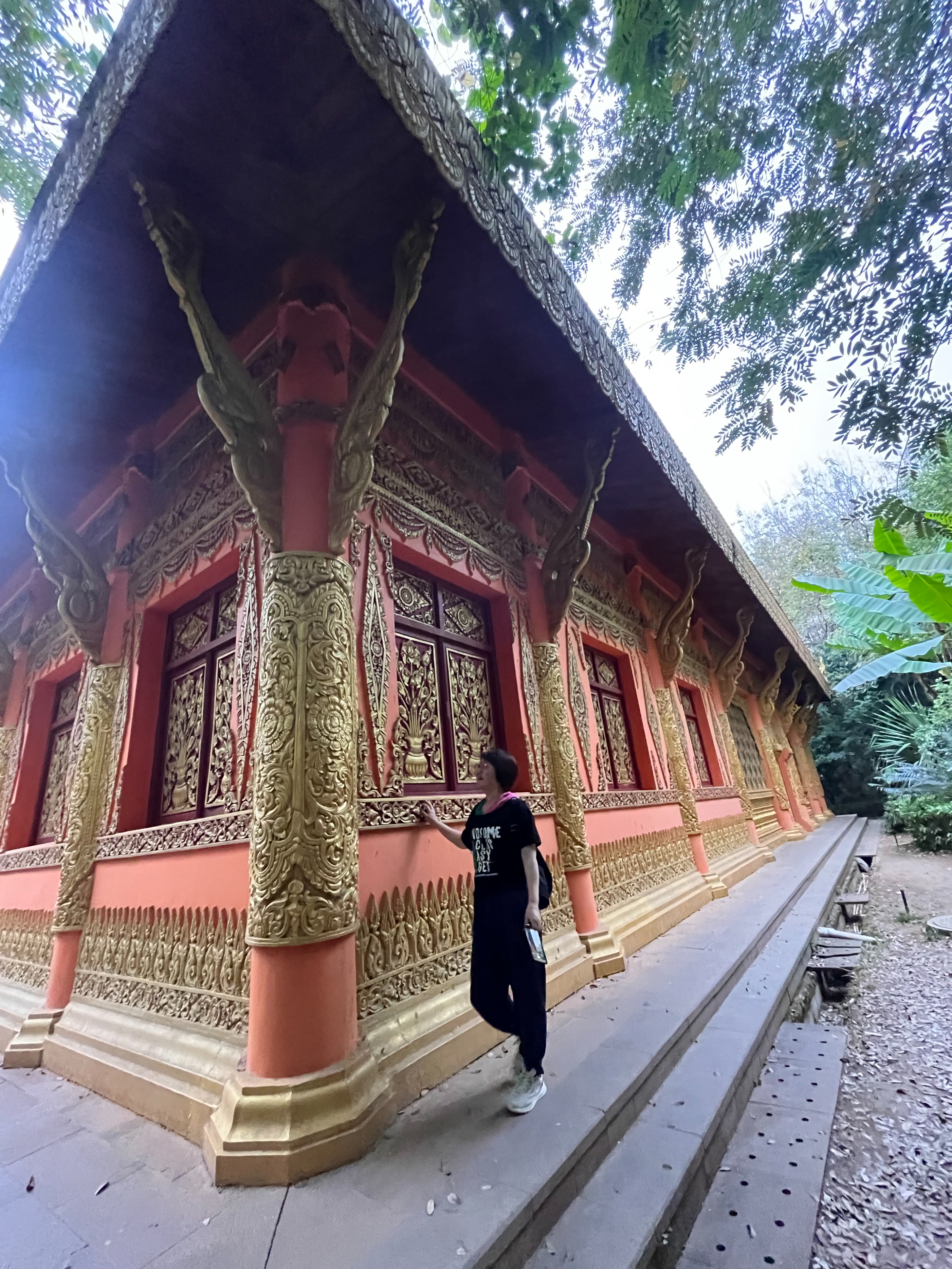 西双版纳曼听园攻略,云南西双版纳打卡曼听公园