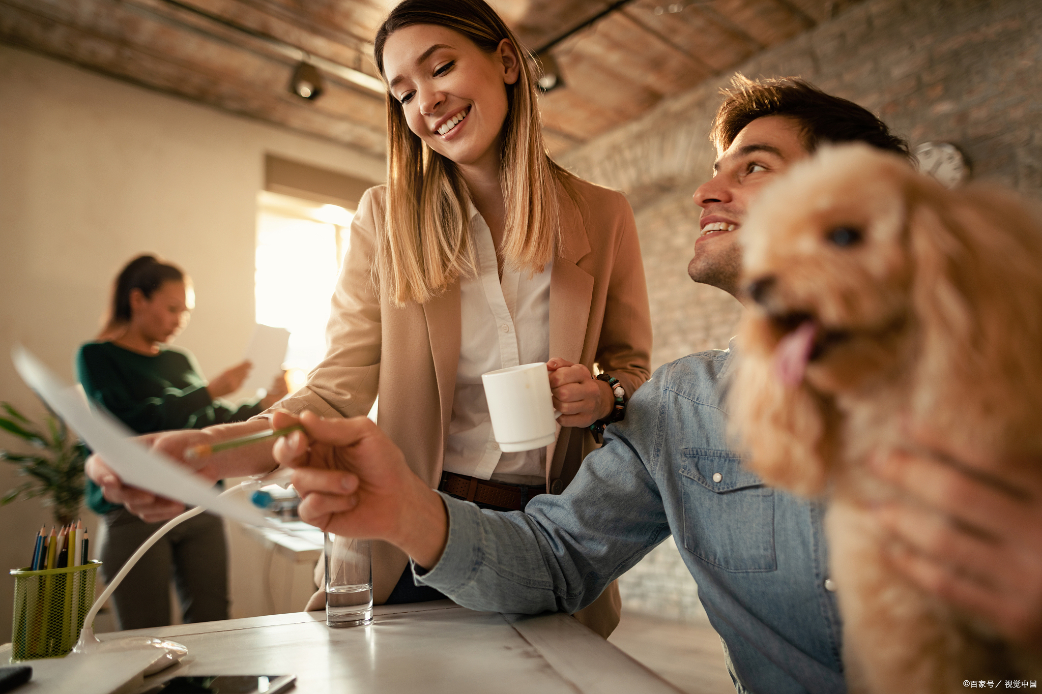 宠物医疗技术好还是动物医学好,宠物的医疗手段有哪些