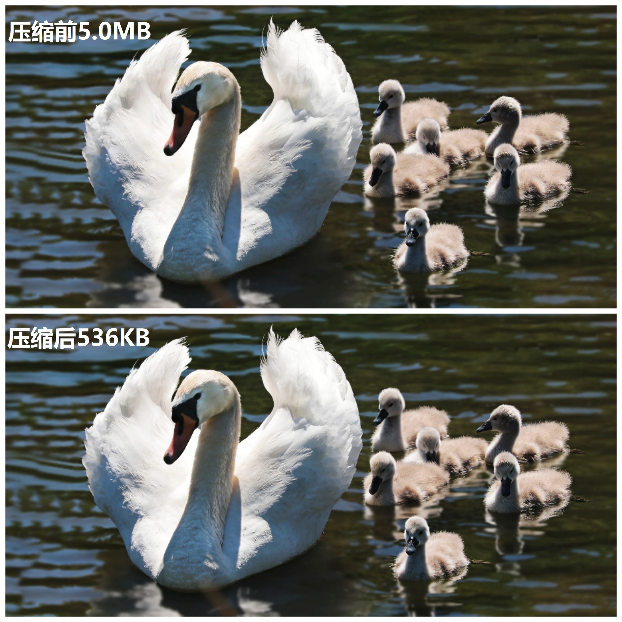 推荐几种实用的图片压缩方法,手机怎么压缩图片大小200kb以下