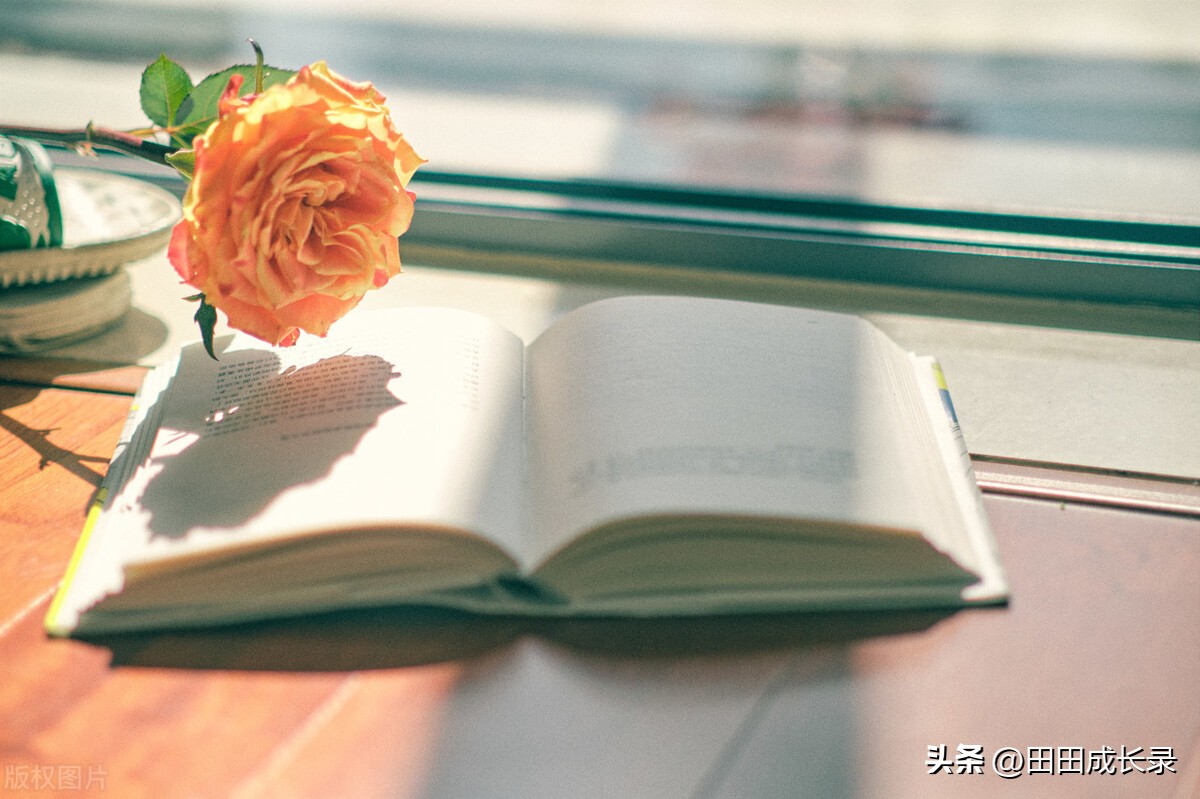 稳定赚钱的10个方法,你还不知道的赚钱方法