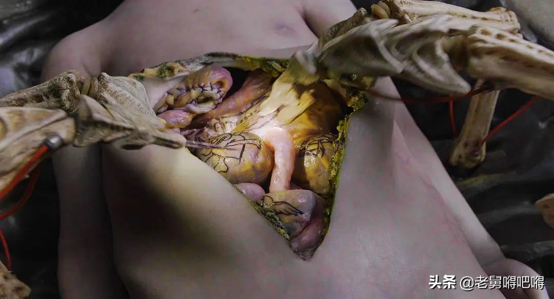 重口味又血腥的R片！胆小慎入？