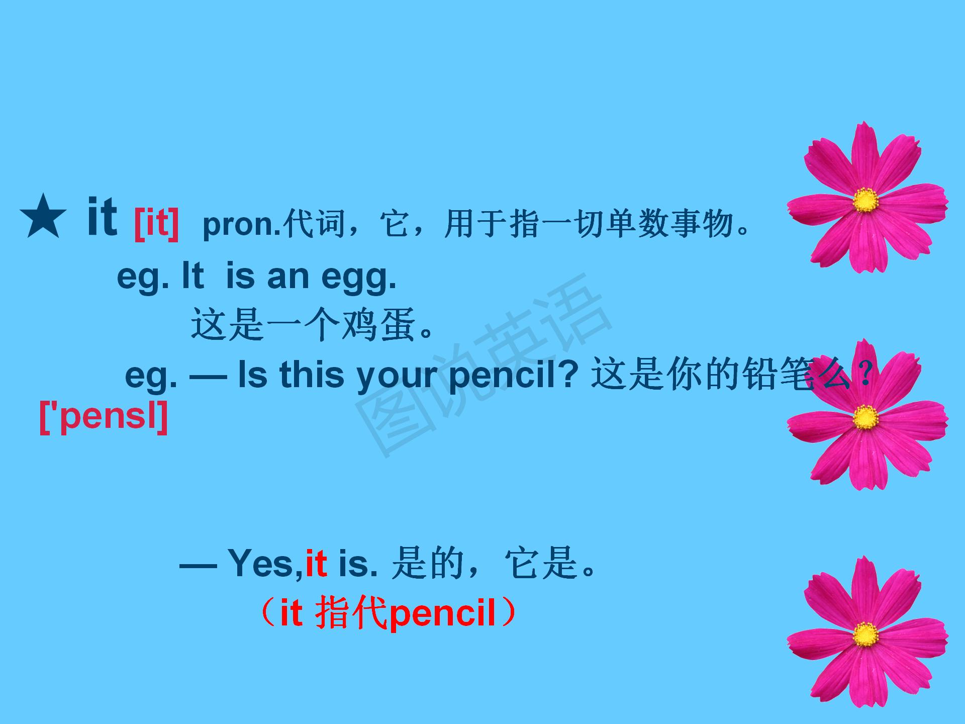 新概念第一册知识点总结课件,新概念英语第一册31到32课课件