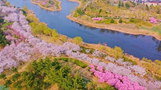 刚刚，揭秘了！360°看潍坊“国际范儿”