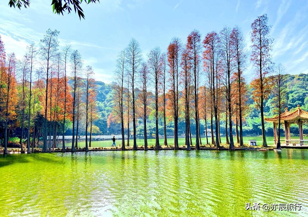 广西到广东周边旅游十大必去景点,广东最好玩的地方前十名有哪些