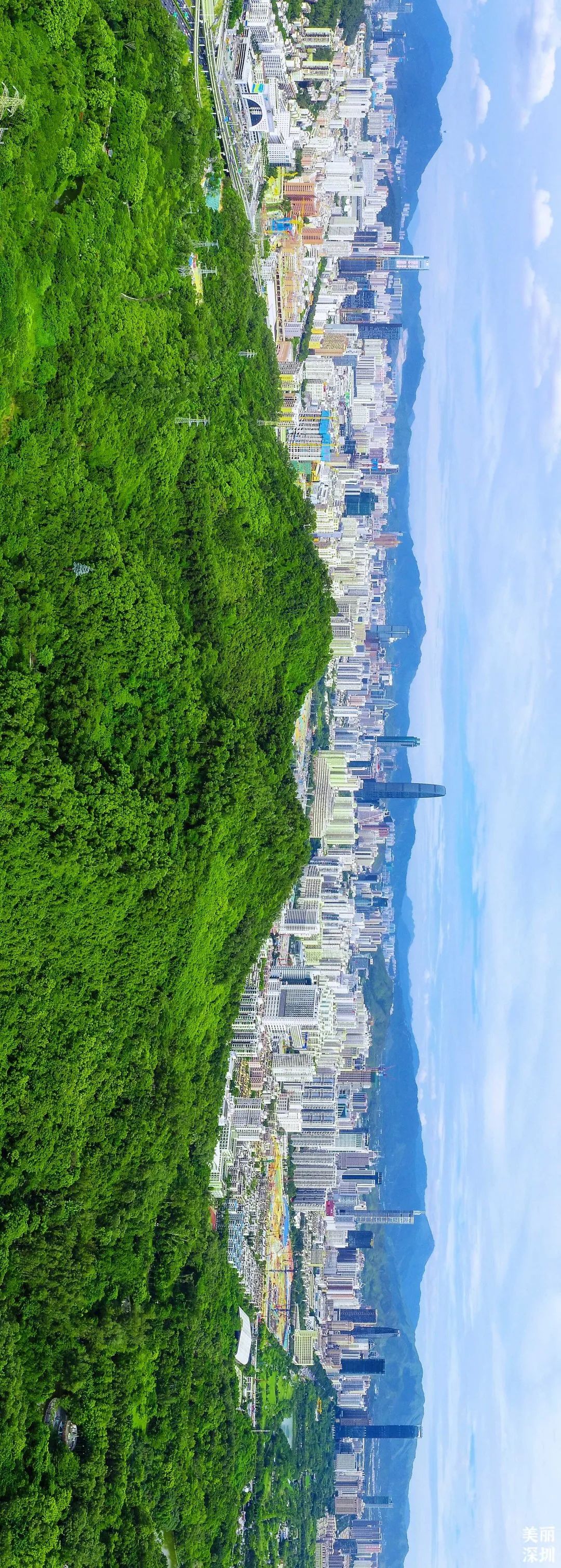 深圳莲花山公园航拍,航拍深圳凤凰山公园