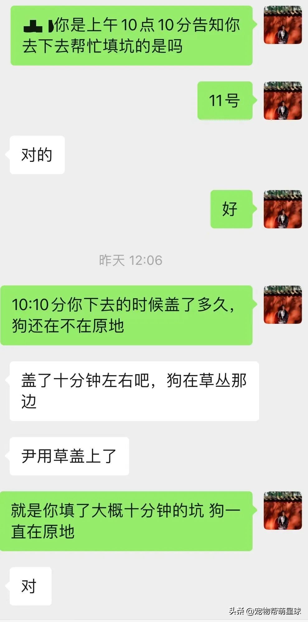 你的金毛不见了怎么办,你的金毛活了多少年