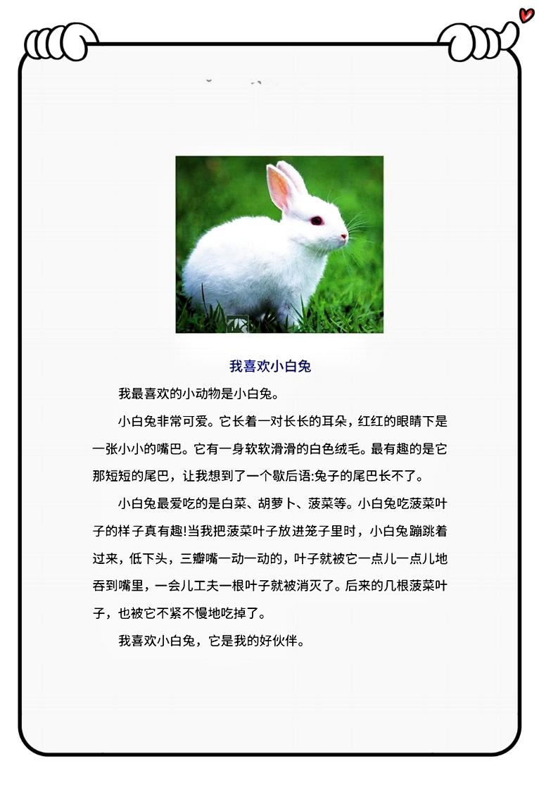 二年级语文下册写可爱的小动物,二年级下册第七单元作文小动物