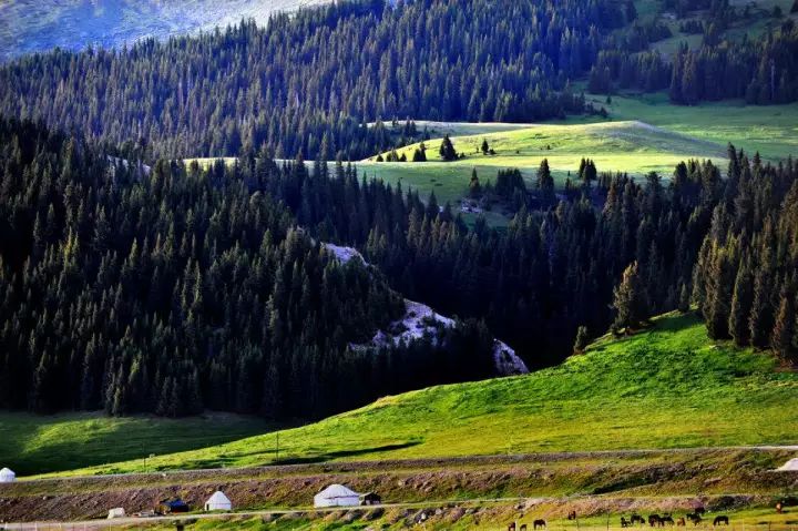 原来*疆新**这么大？终于知道为啥不包邮了...