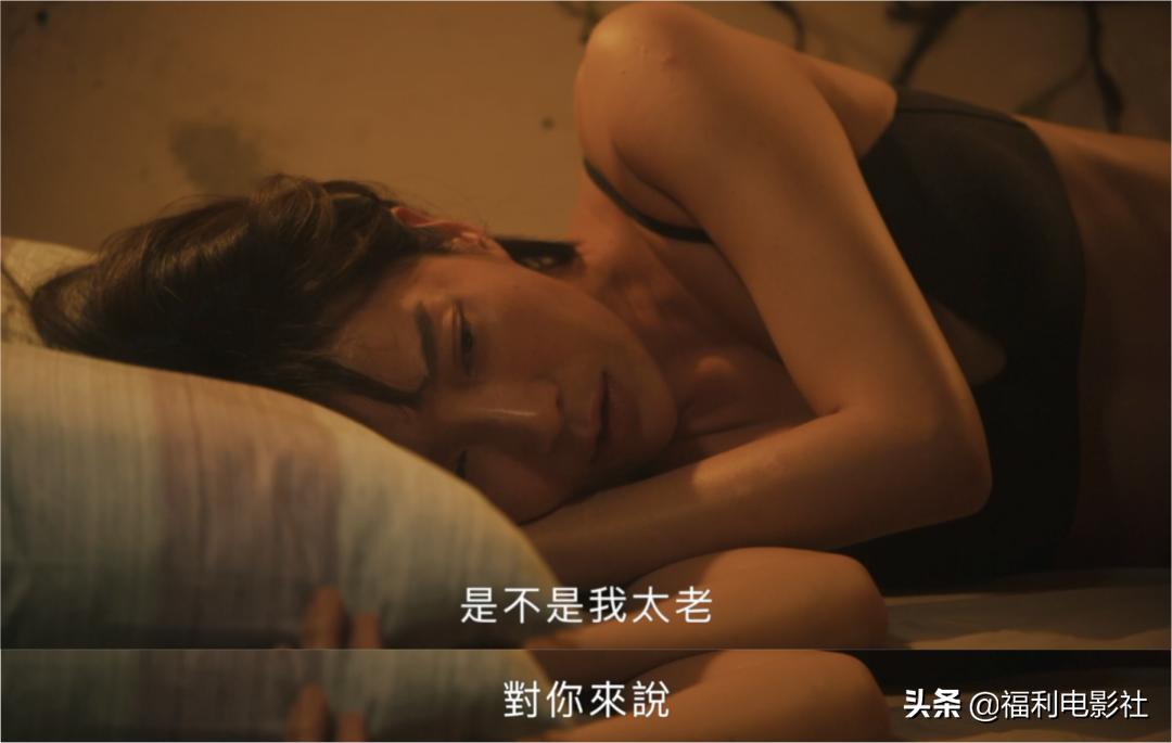 小狼狗遇到姐姐,小狼狗遇上御姐