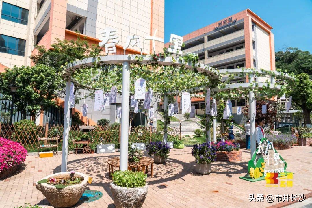 仰天湖天心实验学校,仰天湖实验小学怎么样