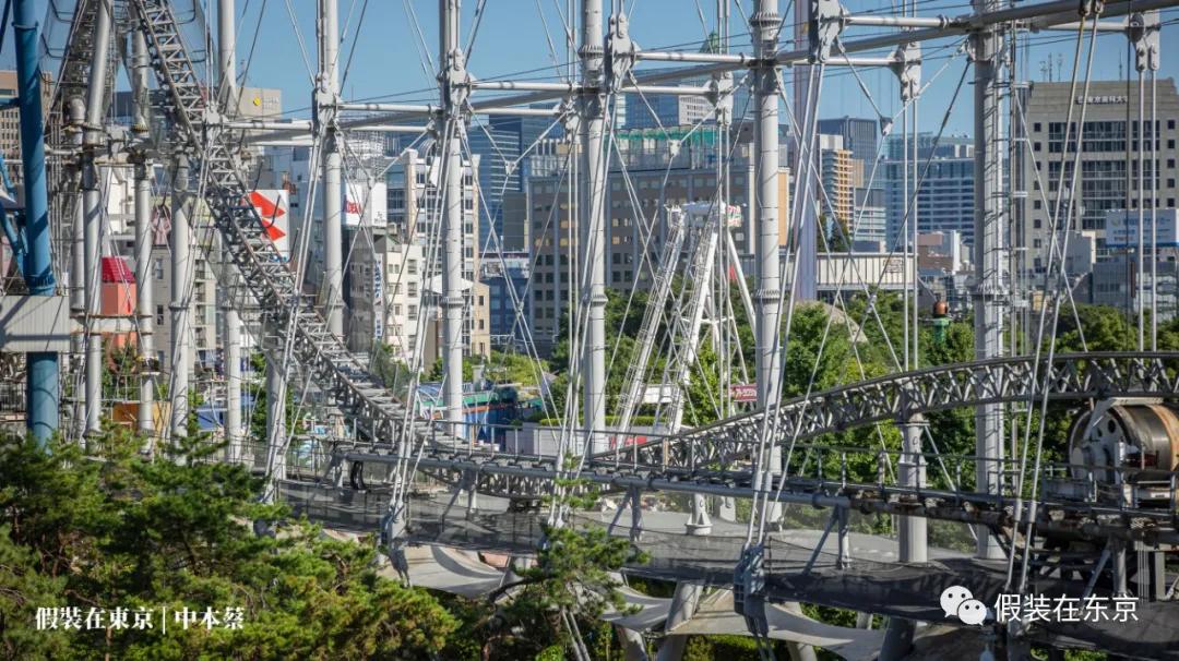 365张照片回顾,365张相片