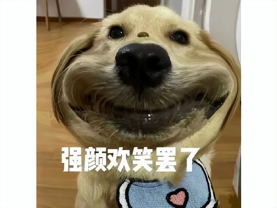 卖号*子骗**被搞到心态崩塌了？DNF玩家买到找回号，直播销毁装备