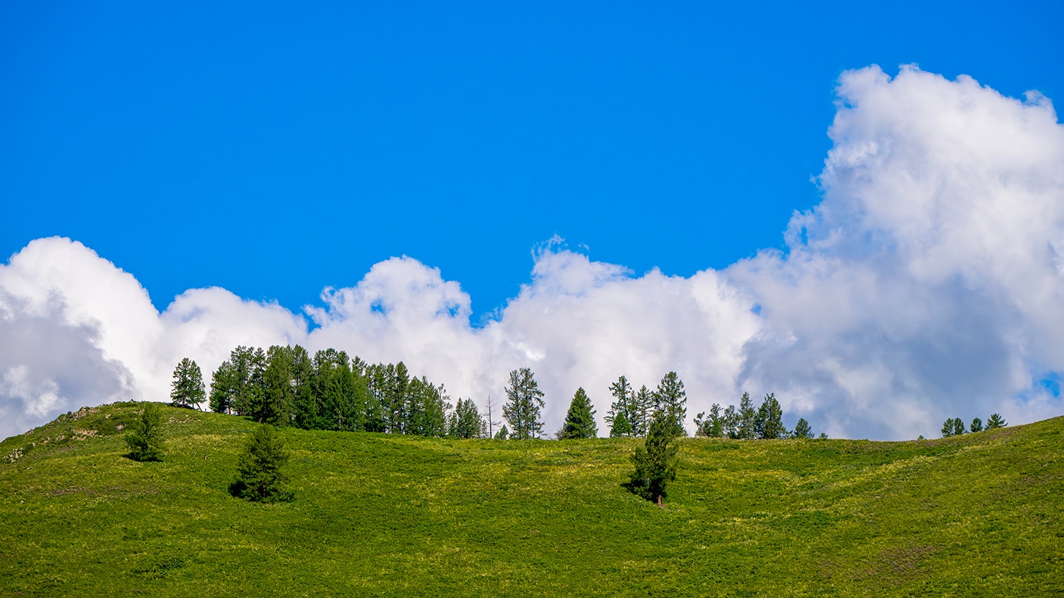 领略“可汗之湖”尼康小三元*疆新**试用手记
