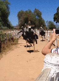 也别自作多情冬天一般朋友见面都说自己手冷真行动了还容易闹笑话
