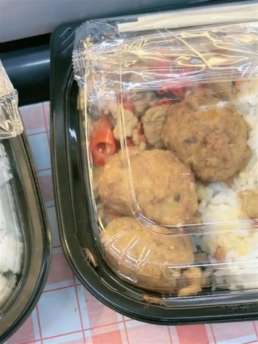 为什么蟑螂死了周边好多小蟑螂,为什么蟑螂会被称为杀不死的小强