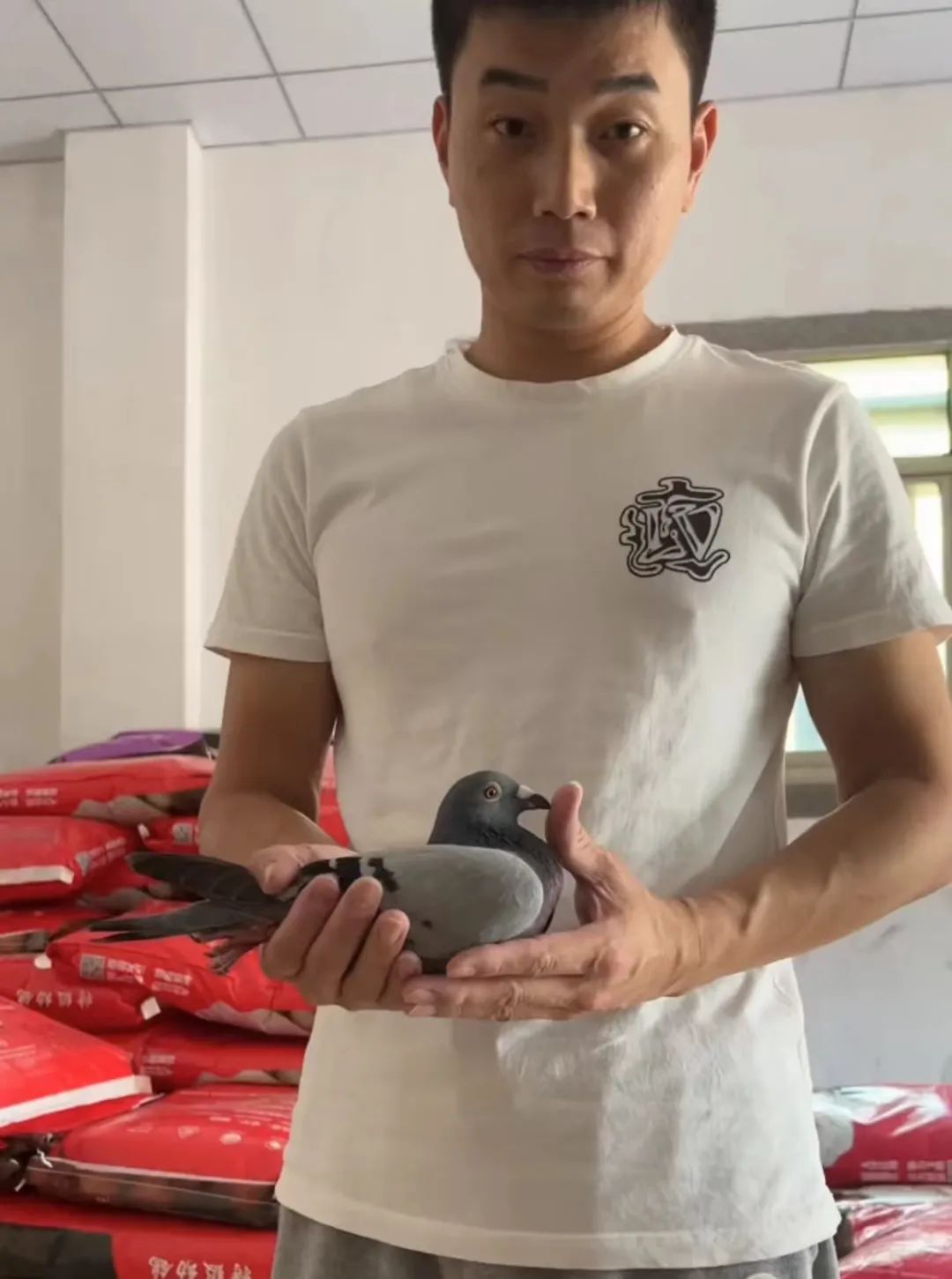 陋棚一样可以飞出“飞龙荣耀杯”13760羽总冠军，王志杭夺得亚军