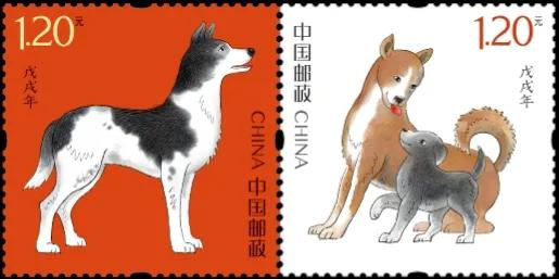 属狗的看过来：十二载春秋变幻，狗票之美