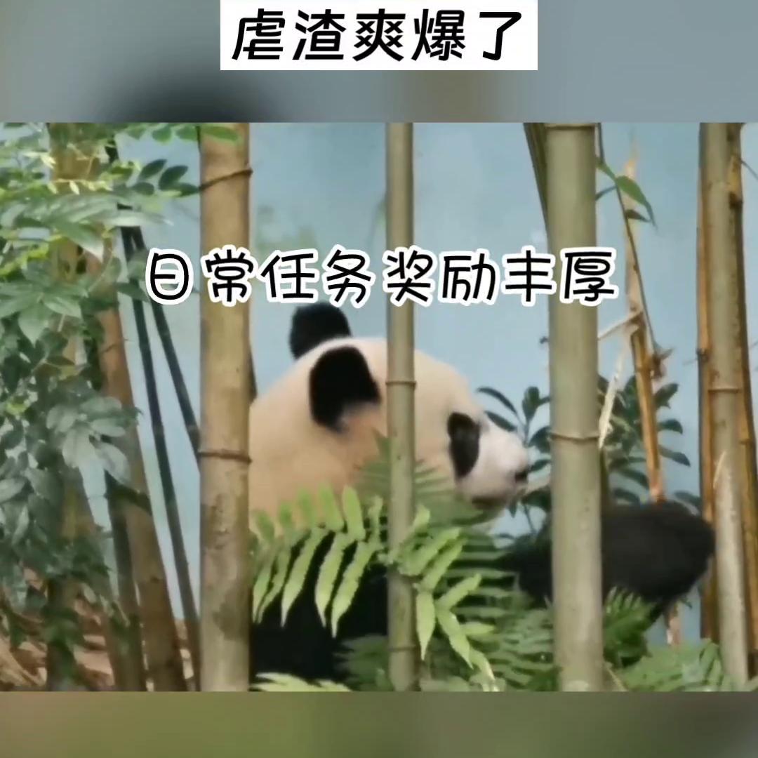 花花华晨宇,花花的世界