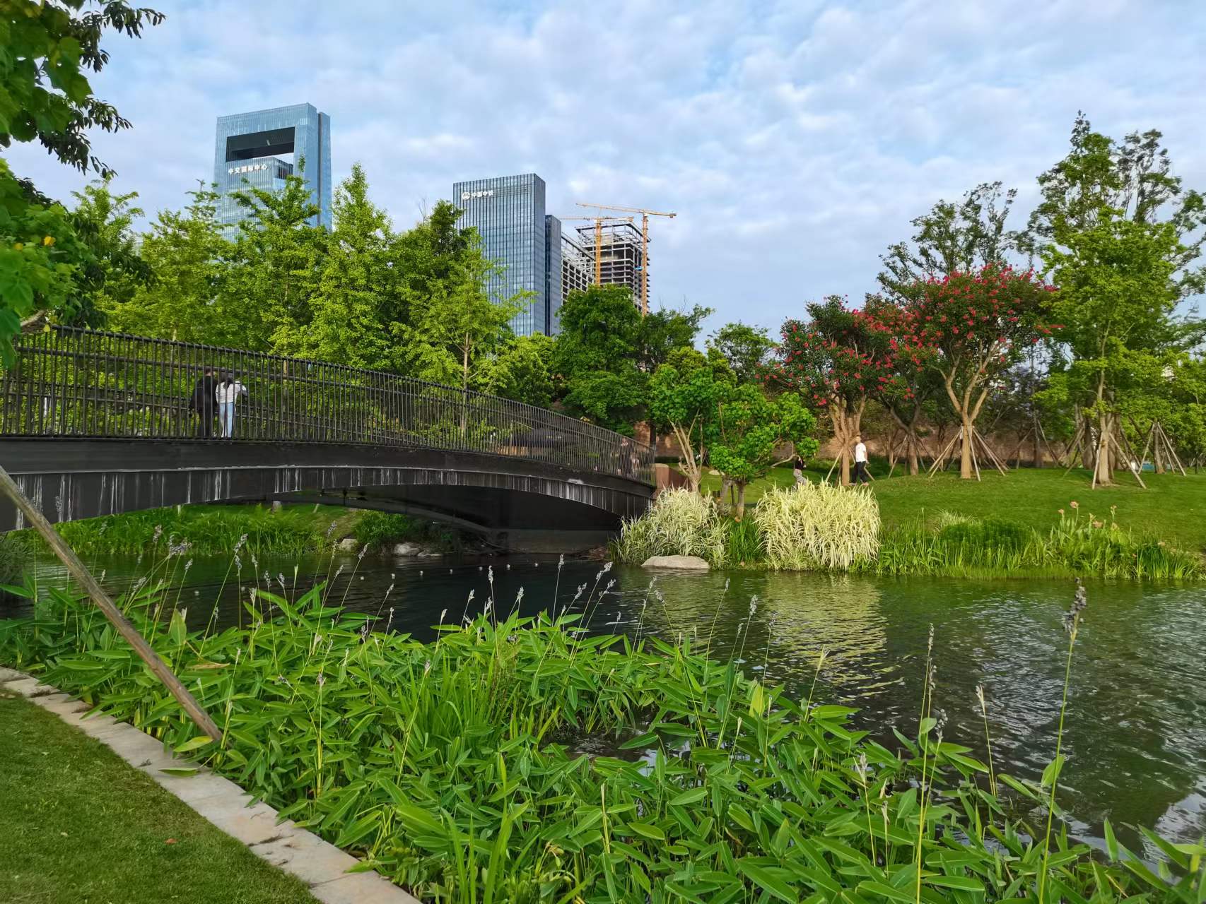 天府新区天府花香谷,成都天府新区花谷