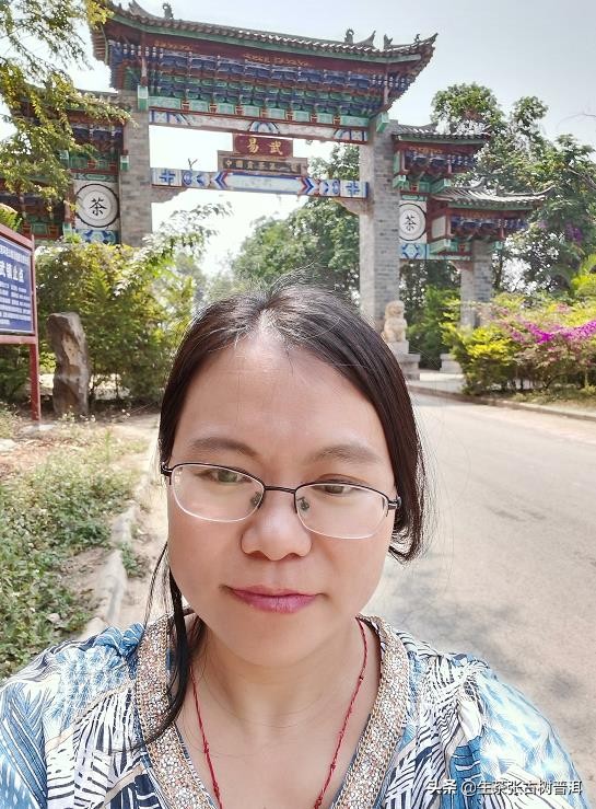 普洱茶哪座山头最好,普洱茶著名茶区