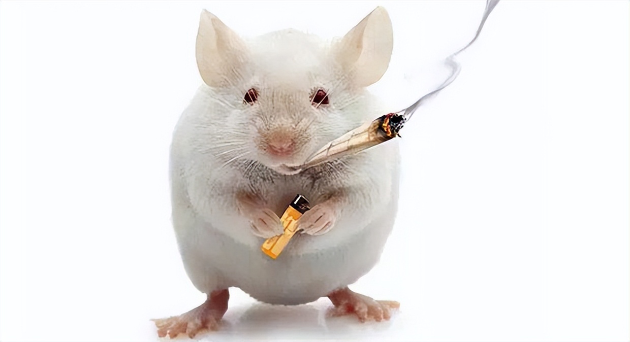 大爷经常咳嗽一查竟是肺癌晚期,大爷咳嗽竟被阿姨说是肺癌