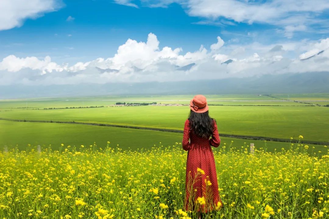 投资逻辑正确是投资赚钱的基础,投资理财有风险请谨慎投资